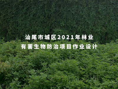 6625b8766295d