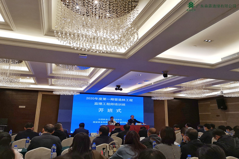 55世纪-不凡成就非凡,相信品牌力量