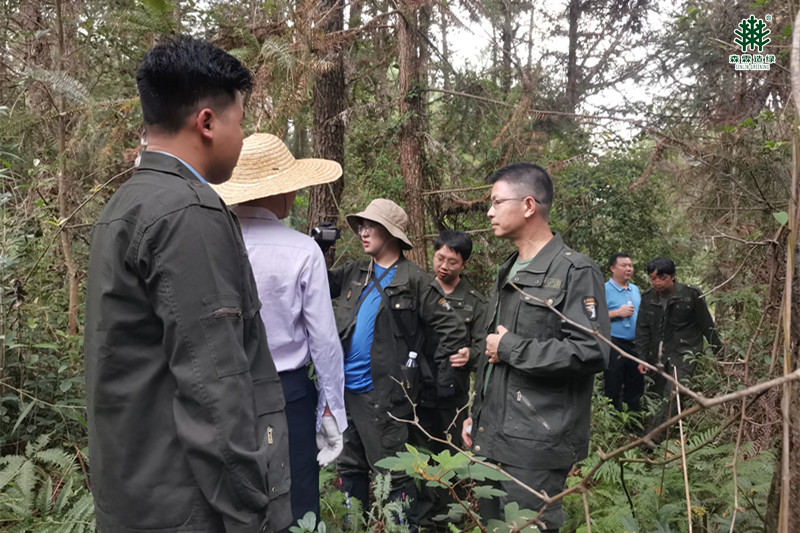 55世纪-不凡成就非凡,相信品牌力量