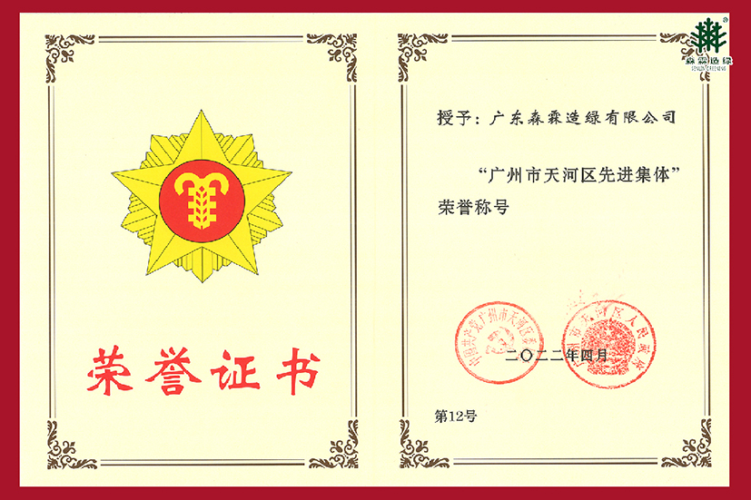 55世纪-不凡成就非凡,相信品牌力量