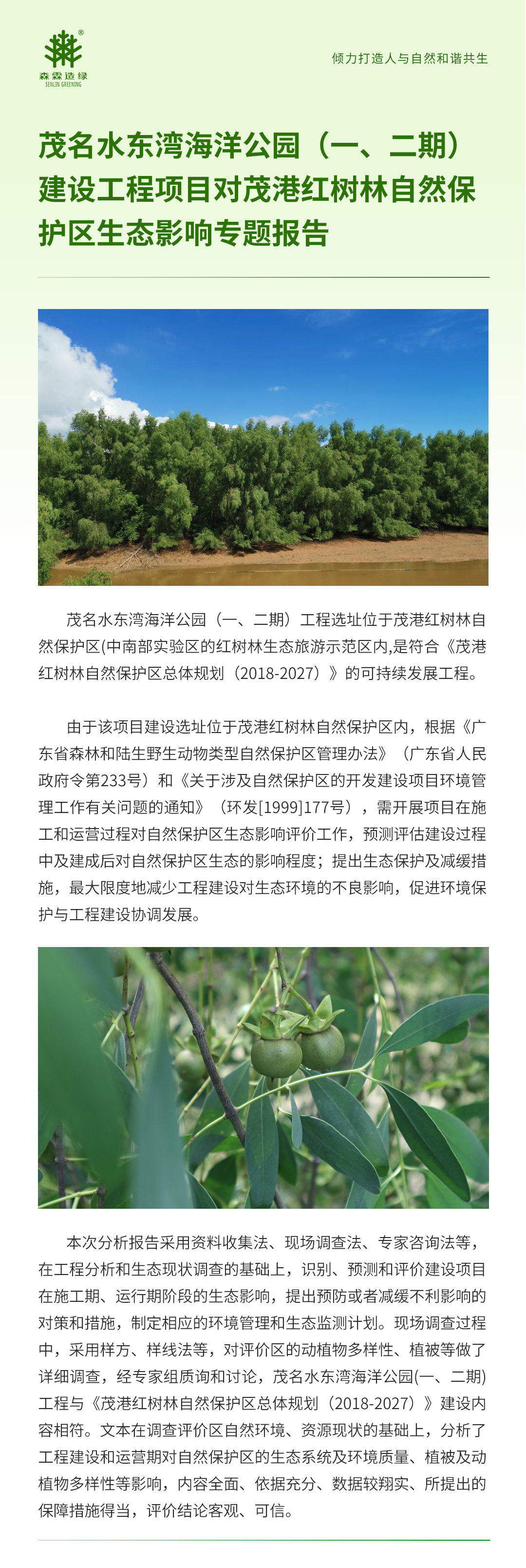 55世纪-不凡成就非凡,相信品牌力量