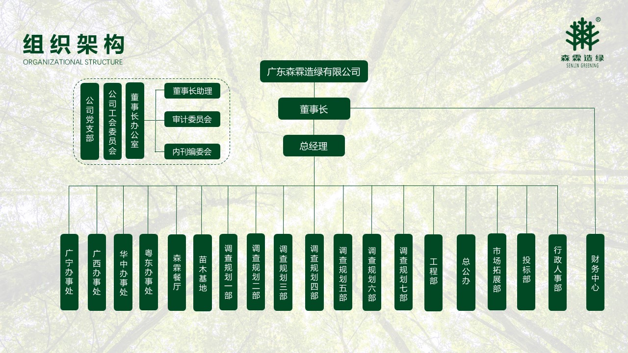 55世纪-不凡成就非凡,相信品牌力量